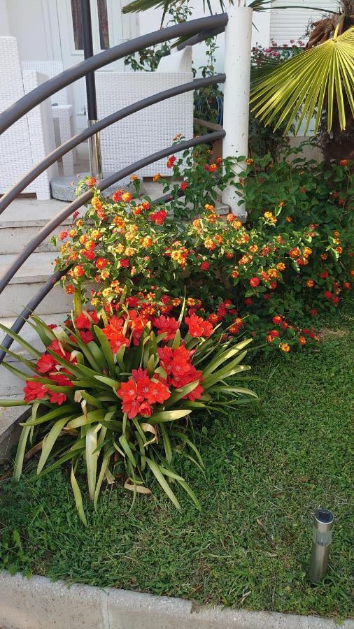 Apartments Tulipan - With Free Private Parking Garage Mostar Ngoại thất bức ảnh
